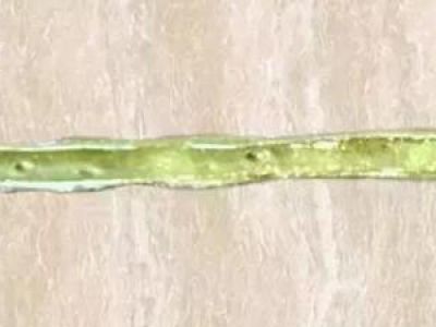 美缝剂冬天施工发脆？不说你不知道。