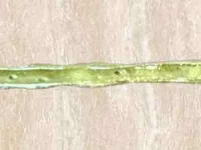 美缝剂有什么牌子好？用在家庭装饰，该怎么选择？